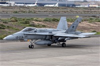 Bartolom Fernndez - Gran Canaria Spotters. Click to see full size photo