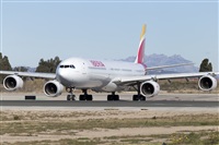 Rubn Gil - Noisy Spotters. Click to see full size photo