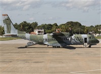 Joo Henrique. Click to see full size photo