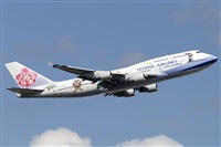 Rubn Gil - Noisy Spotters. Click to see full size photo