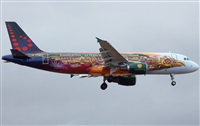 ©Francisco Garcia Romero - LPA. Spotter.. Click to see full size photo ©Francisco Garcia Romero - LPA. Spotter.. Click to see full size photo