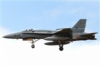 Florencio Martn Melin - Lanzarote Spotters. Click to see full size photo