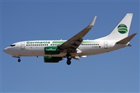 ©Alfonso Solís - Asociación Canary Islands Spotting. Click to see full size photo ©Alfonso Solís - Asociación Canary Islands Spotting. Click to see full size photo