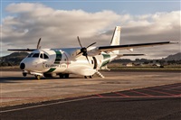 Javier de la Cruz - CANARY ISLANDS SPOTTING. Click to see full size photo