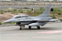 Alfonso Sols - Asociacin Canary Islands Spotting. Click to see full size photo
