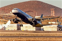 Javier de la Cruz - CANARY ISLANDS SPOTTING. Click to see full size photo