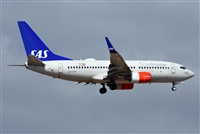 ©J. Victor Vega-Gran Canaria Spotters. Click to see full size photo ©J. Victor Vega-Gran Canaria Spotters. Click to see full size photo