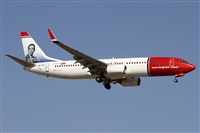 ©Alfonso Solís - Asociación Canary Islands Spotting. Click to see full size photo ©Alfonso Solís - Asociación Canary Islands Spotting. Click to see full size photo