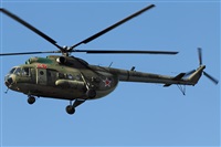 Maksimov Maxim - RuSpotters Team. Click to see full size photo