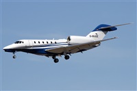 Alfonso Sols - Asociacin Canary Islands Spotting. Haz click para ampliar