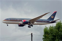 Miguel A. gueda Rguez.  (CANARY ISLANDS SPOTTING). Haz click para ampliar