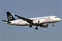 ©Alfonso Solís - Asociación Canary Islands Spotting. Click to see full size photo ©Alfonso Solís - Asociación Canary Islands Spotting. Click to see full size photo