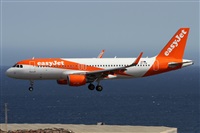 Alfonso Sols - Asociacin Canary Islands Spotting. Click to see full size photo