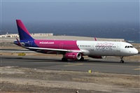 ©Alfonso Solís - Asociación Canary Islands Spotting. Click to see full size photo ©Alfonso Solís - Asociación Canary Islands Spotting. Click to see full size photo