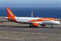 Alfonso Sols - Asociacin Canary Islands Spotting. Click to see full size photo