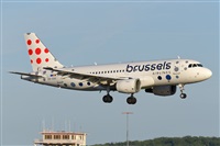 Miguel A. gueda Rguez.  (CANARY ISLANDS SPOTTING). Click to see full size photo
