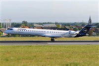 Miguel A. gueda Rguez.  (CANARY ISLANDS SPOTTING). Click to see full size photo
