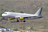 Miguel A. gueda Rguez.  (CANARY ISLANDS SPOTTING). Click to see full size photo