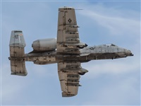 Rod Dermo. Click to see full size photo