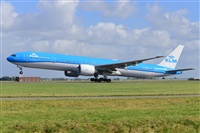 Miguel A. gueda Rguez.  (CANARY ISLANDS SPOTTING). Click to see full size photo