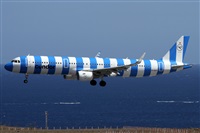 Alfonso Sols - Asociacin Canary Islands Spotting. Click to see full size photo