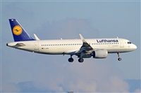 Miguel A. gueda Rguez.  (CANARY ISLANDS SPOTTING). Click to see full size photo
