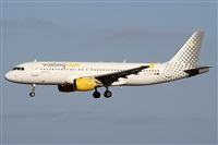 ©Alfonso Solís - Asociación Canary Islands Spotting. Click to see full size photo ©Alfonso Solís - Asociación Canary Islands Spotting. Click to see full size photo