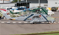 Maksimov Maxim - RuSpotters Team. Click to see full size photo