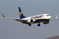 Alfonso Sols - Asociacin Canary Islands Spotting. Click to see full size photo