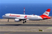 Miguel A. gueda Rguez.  (CANARY ISLANDS SPOTTING). Click to see full size photo