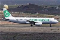 Miguel A. gueda Rguez.  (CANARY ISLANDS SPOTTING). Click to see full size photo