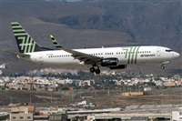 ©Adolfo Bento - Gran Canaria Spotters. Click to see full size photo ©Adolfo Bento - Gran Canaria Spotters. Click to see full size photo