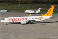 Daniel Schwinn. Click to see full size photo