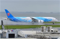 �Miguel A. �gueda Rguez.  (CANARY ISLANDS SPOTTING). Click to see full size photo