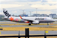 �Miguel A. �gueda Rguez.  (CANARY ISLANDS SPOTTING). Click to see full size photo