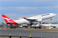 �Miguel A. �gueda Rguez.  (CANARY ISLANDS SPOTTING). Click to see full size photo