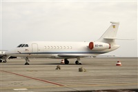 Javier de la Cruz - CANARY ISLANDS SPOTTING. Click to see full size photo