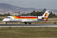 Cele - Spotters BCN. Haz click para ampliar
