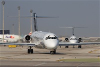 Rodrigo Carvalho - Noisy Spotters. Click to see full size photo