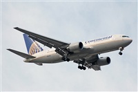 Miguel A. gueda Rguez.  (CANARY ISLANDS SPOTTING). Click to see full size photo