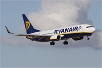 Alfonso Sols - Asociacin Canary Islands Spotting. Haz click para ampliar