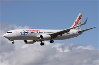 Alfonso Sols - Asociacin Canary Islands Spotting. Click to see full size photo
