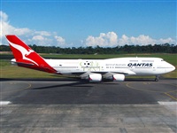 Fabio Duarte - Manaus Spotting Team. Click to see full size photo