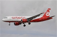 ©Alfonso Solís - Asociación Canary Islands Spotting. Click to see full size photo ©Alfonso Solís - Asociación Canary Islands Spotting. Click to see full size photo