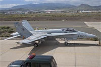 Click here to see full size photo