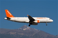 Javier de la Cruz - CANARY ISLANDS SPOTTING. Click to see full size photo