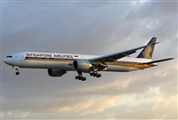 Jos Miguel Bernases - Noisy Spotters. Click to see full size photo