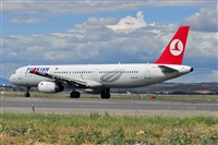 Miguel A. gueda Rguez.  (CANARY ISLANDS SPOTTING). Click to see full size photo