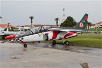 Paulo Antunes. Click to see full size photo