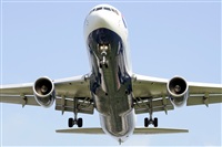 Miguel Martin Cordeiro - Iberian Spotters. Click to see full size photo